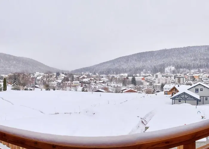La Trinite-spa,sauna,petanque-gerardmer Gerardmer